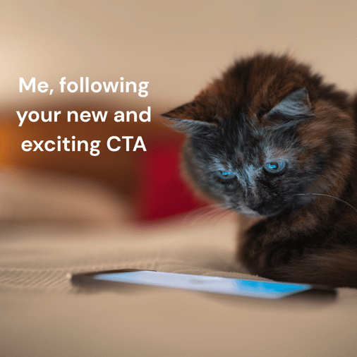 Exciting CTAs