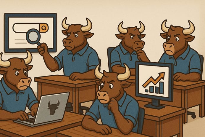 Google Bulls Doing Audit