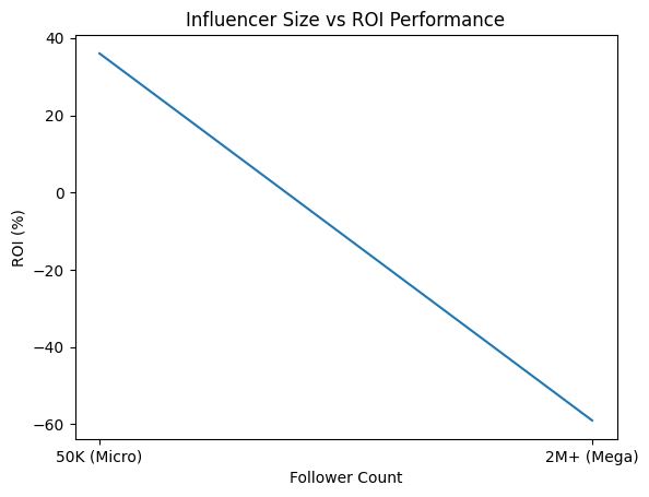 Influencer Size vs ROI Performance
