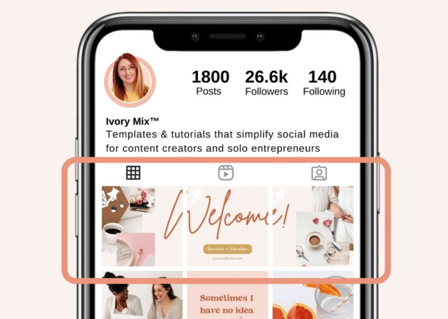 Instagram-Pinned-Posts-in-Profile