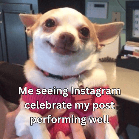 Me seeing Instagram celebrate my post performing well