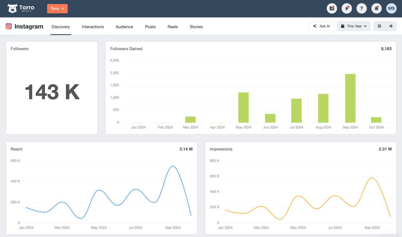 Torro-Instagram-Followers-Metrics-Analytics