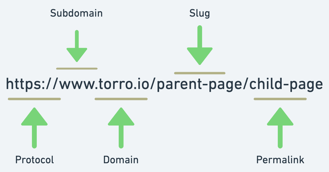 The 2024 SEO Cheat Sheet: An Essential Resource for Web Developers