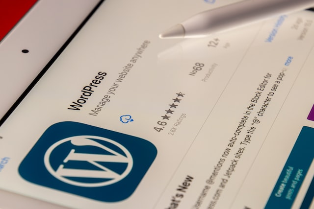 Wordpress CMS for blogging