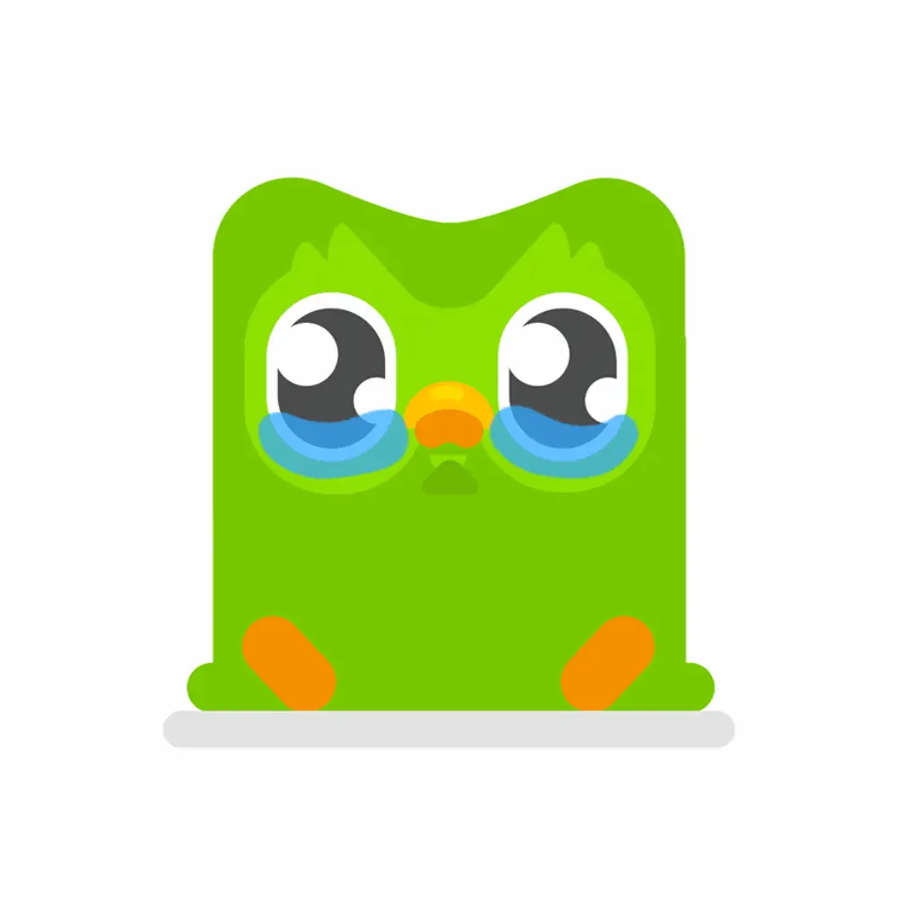 Duolingo Crying